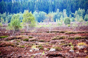 Abbaugebiet in Tschechien